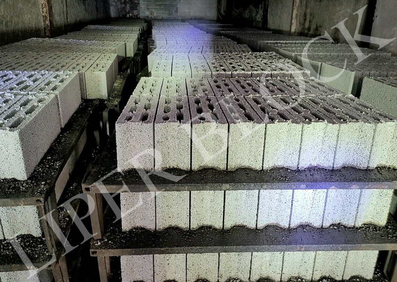 بلوک های سوپر لیپر 14 تولید شده برروی پالت فلزی در کوره بخار